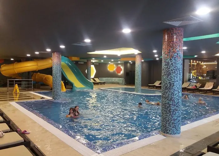 Sunny Kop Cardaci Κοπαόνικ