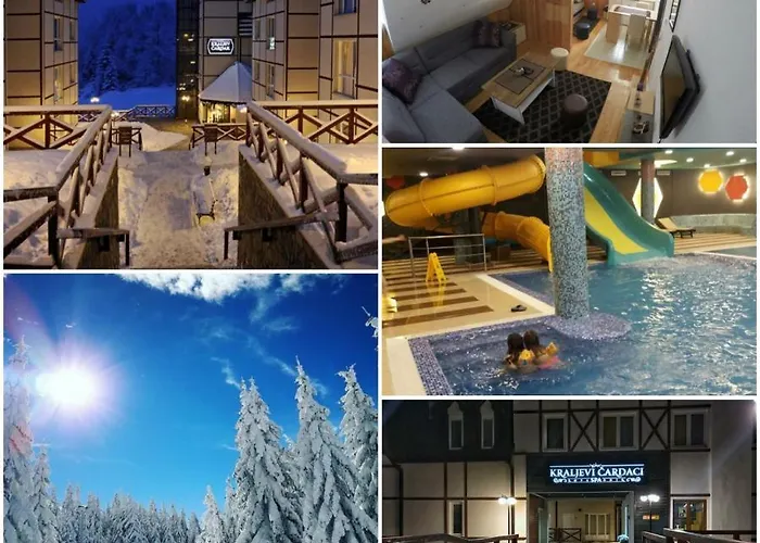 Sunny Kop Cardaci Κοπαόνικ