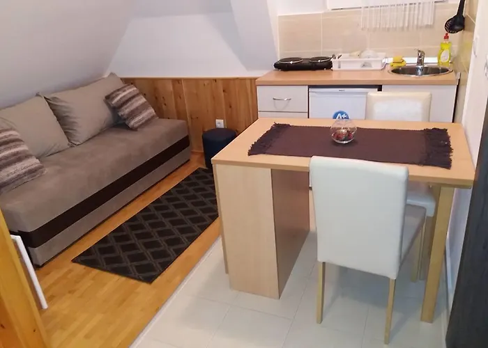 Sunny Kop Cardaci Κοπαόνικ